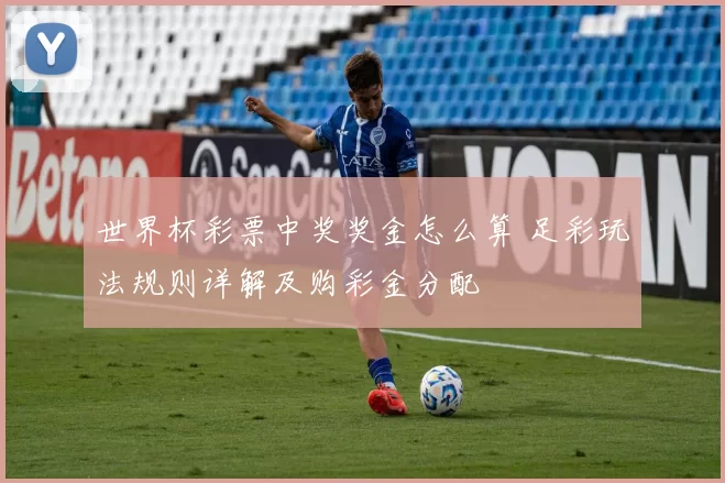 世界杯彩票中奖奖金怎么算 足彩玩法规则详解及购彩金分配