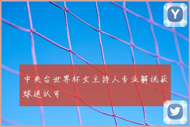 中央台世界杯女主持人专业解说获球迷认可