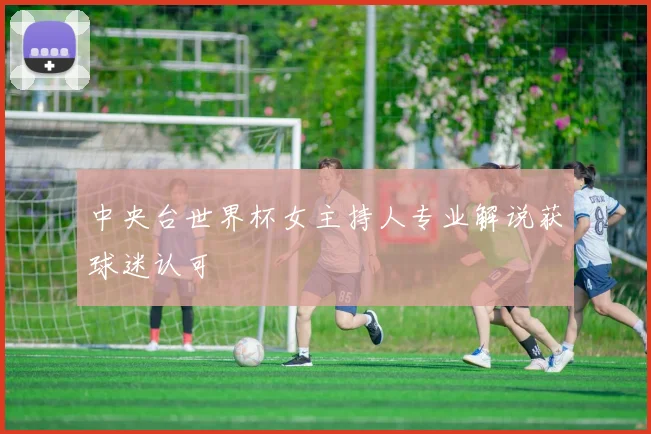 中央台世界杯女主持人专业解说获球迷认可